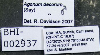 Media type: image;   Entomology 602276 Aspect: labels